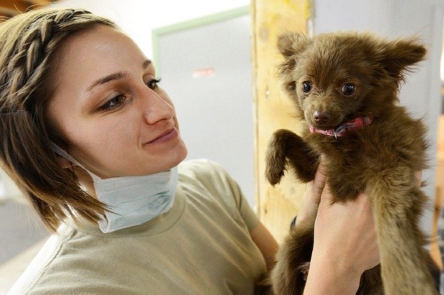 veterinářka a štěně