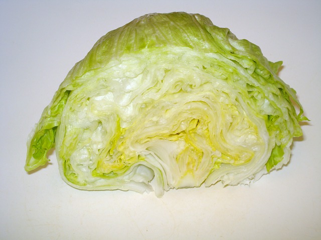 ledový salát